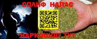 сатива Абакан